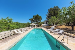 Une piscine rectangulaire à l’eau d’un bleu limpide, entourée de chaises longues et de parasols, avec des arbres et un ciel dégagé en arrière-plan.