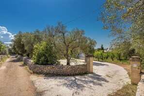 A rural road with stone walls and trees. - Villa Sessana by Perle di Puglia (Ostuni)