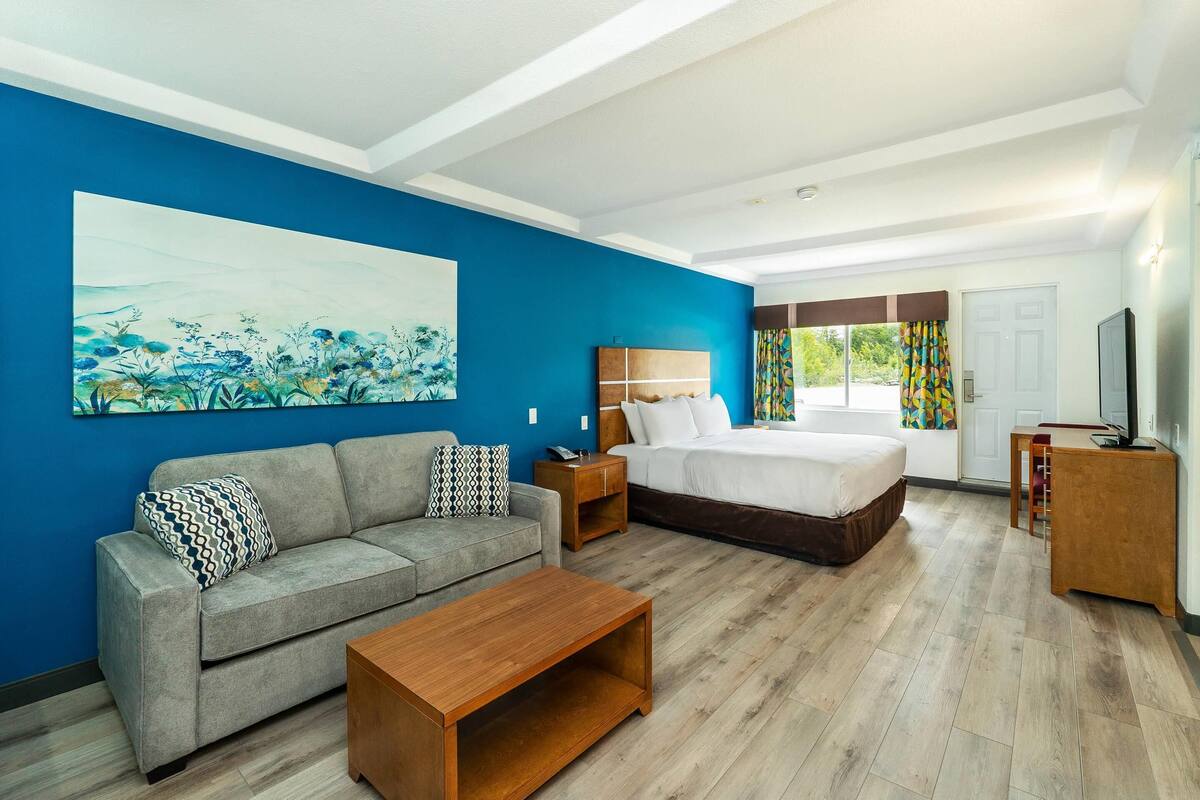 Chambre, 1 très grand lit et 1 canapé-lit, non-fumeur | Rideaux d’obscurcissement, fer et planche à repasser