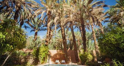 Guest House in Oasis Amazrou Zagora South est Maro
