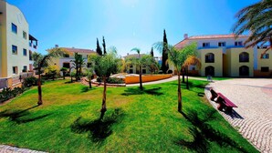 A courtyard with a circular fountain, surrounded by palm trees and a paved walkway.