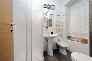 Shower, hair dryer, bidet, towels