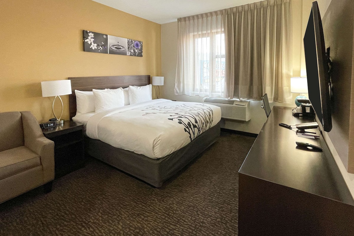 Camera Standard, 1 letto king, non fumatori | Biancheria da letto di alta qualità, copriletto in piuma
