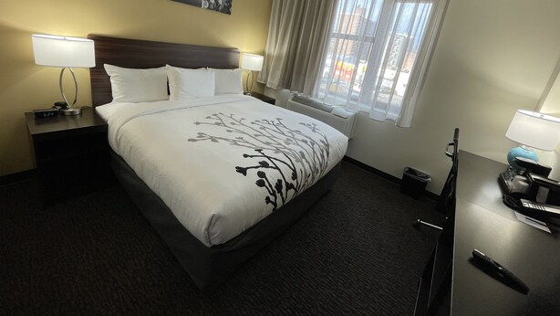 Room, 1 King Bed, Accessible, Non Smoking - Sleep Inn Bronx - Belmont (Bronx)