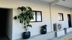 A modern building exterior with a clean, white facade, a large potted plant, and a yellow safety line on the pavement. - Capital O Hotel Jazuli, San Jose del Cabo (San José del Cabo)