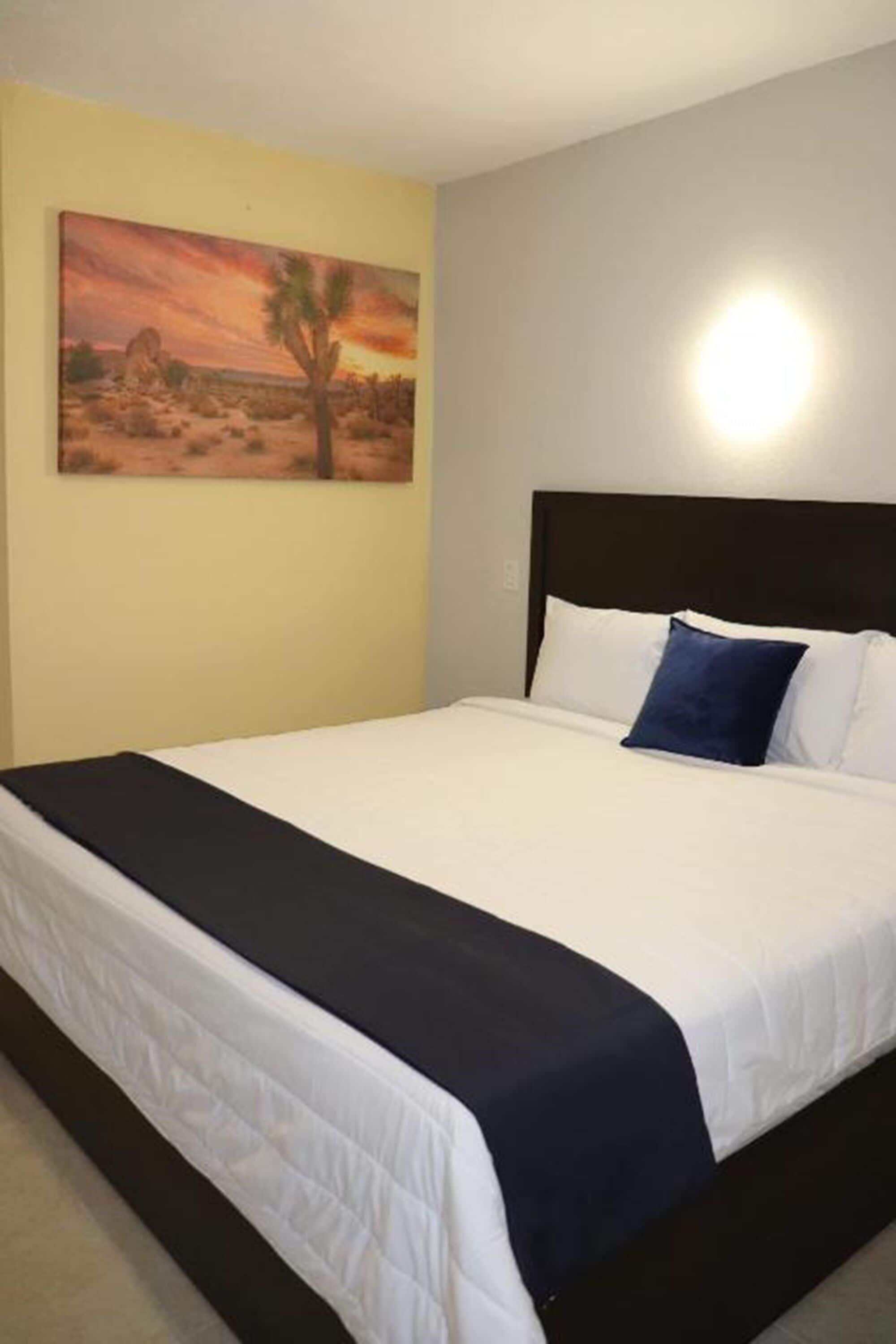 Standard Single Room, 1 Twin Bed | Minibar, desk, iron/ironing board, free WiFi