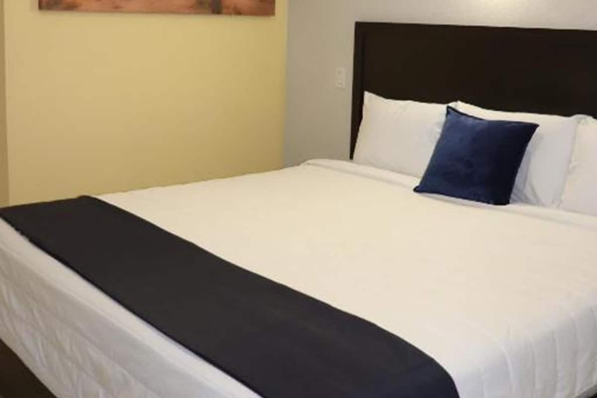 Standard Room, 1 Twin Bed | Minibar, desk, iron/ironing board, WiFi (free)