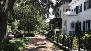 A tree-lined pathway leading to a white building with black shutters, surrounded by lush greenery and a black wrought-iron fence. - George Baldwin House Suite (Savannah)