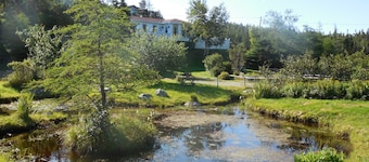 Cozy Cabin just steps from the East Coast Trail