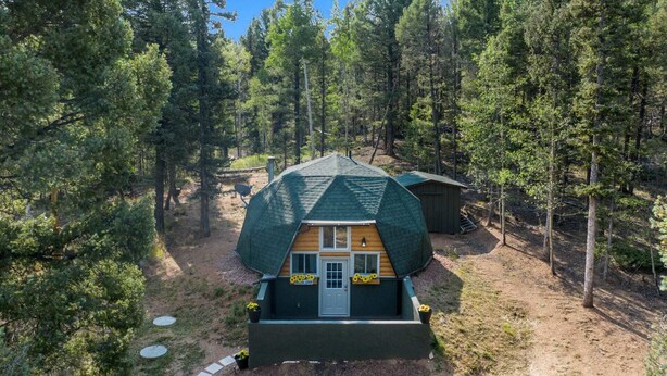 A geodesic dome cabin surrounded by a forest.