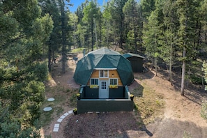 Ein kugelförmiges Domhaus, umgeben von einem Wald.