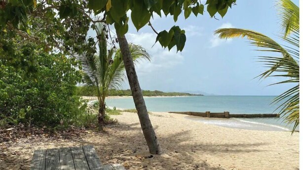 A wooden bench on a sandy beach with palm trees and a view of the ocean. - Southgate courtyard<br>Unit 20 (Christiansted)