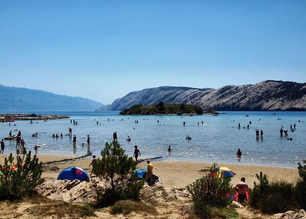 بالقرب من الشاطئ