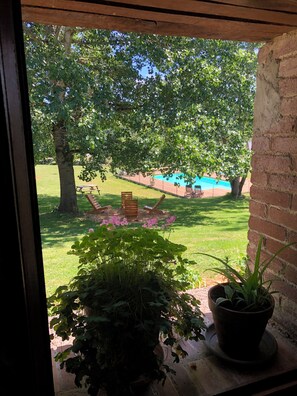 A view through a window of a backyard with a pool, a wooden deck, and a brick wall.