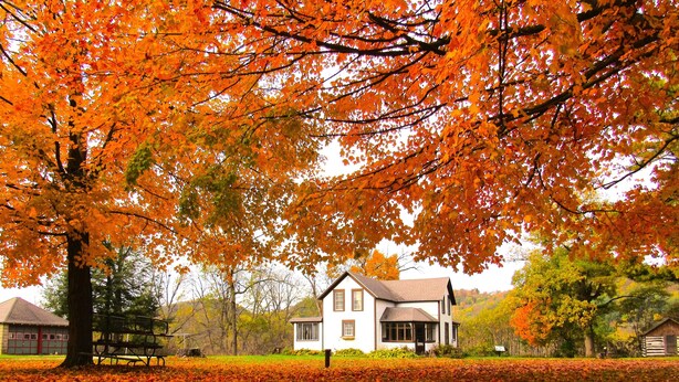 Ein Haus, umgeben von einem Feld aus Herbstlaub.