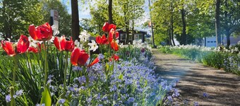 L'Ancien Presbytère de St-Marcel