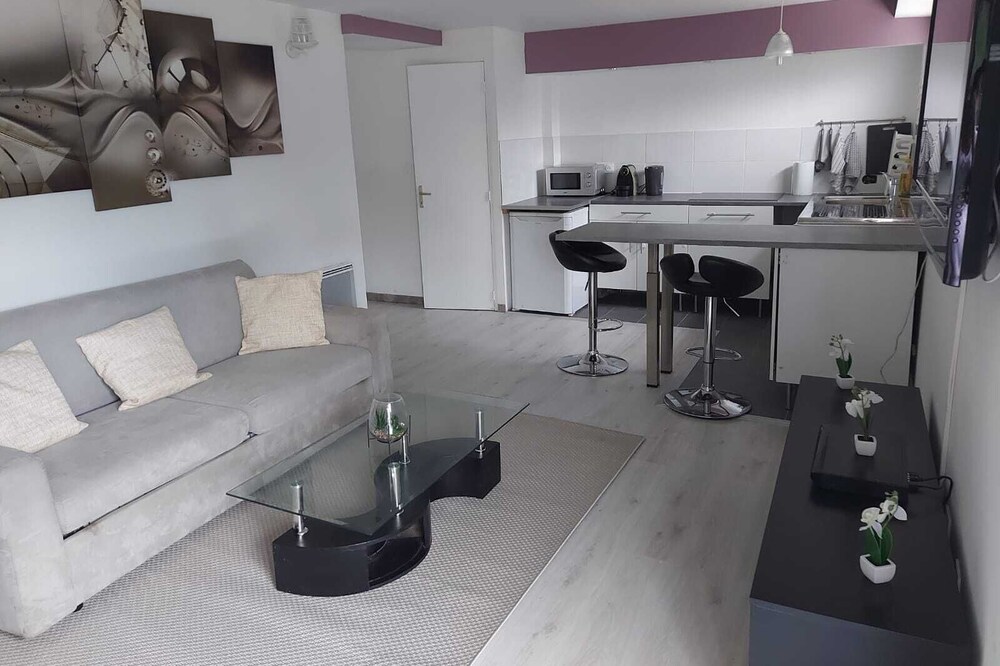 Large Studio of more than 50 m2 rented entirely near Paris