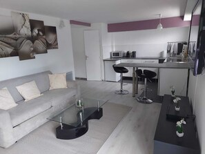 TV - Large Studio of more than 50 m2 rented in full near Paris (Ecquevilly)