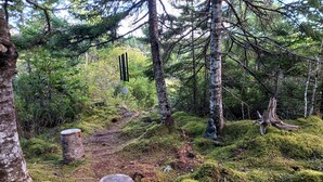 Une zone boisée avec un sentier bien tracé, un sol recouvert de mousse et une statue de Bouddha.
