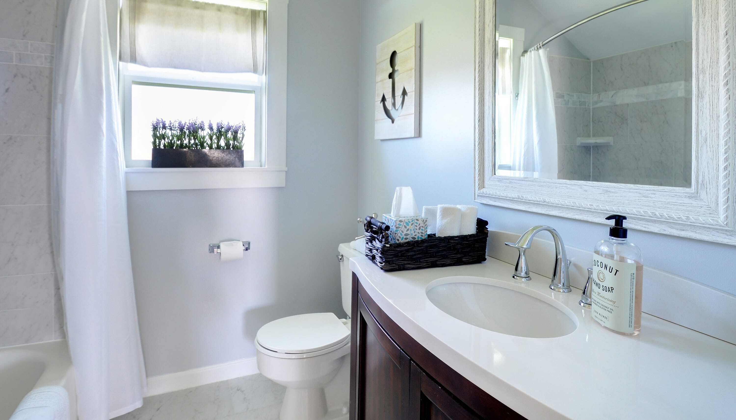Bathtub, hair dryer, towels, toilet paper