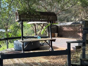Property grounds - Moonlight Cabin (Canyon Lake)