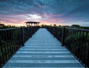 Property grounds - Clean and cozy beach home east of A1A, steps from private beach, remodeled pool (Vero Beach)