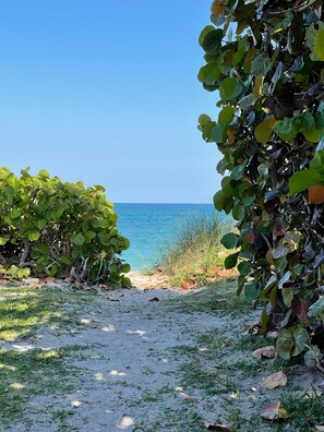 In Strandnähe, Liegestühle, Strandtücher
