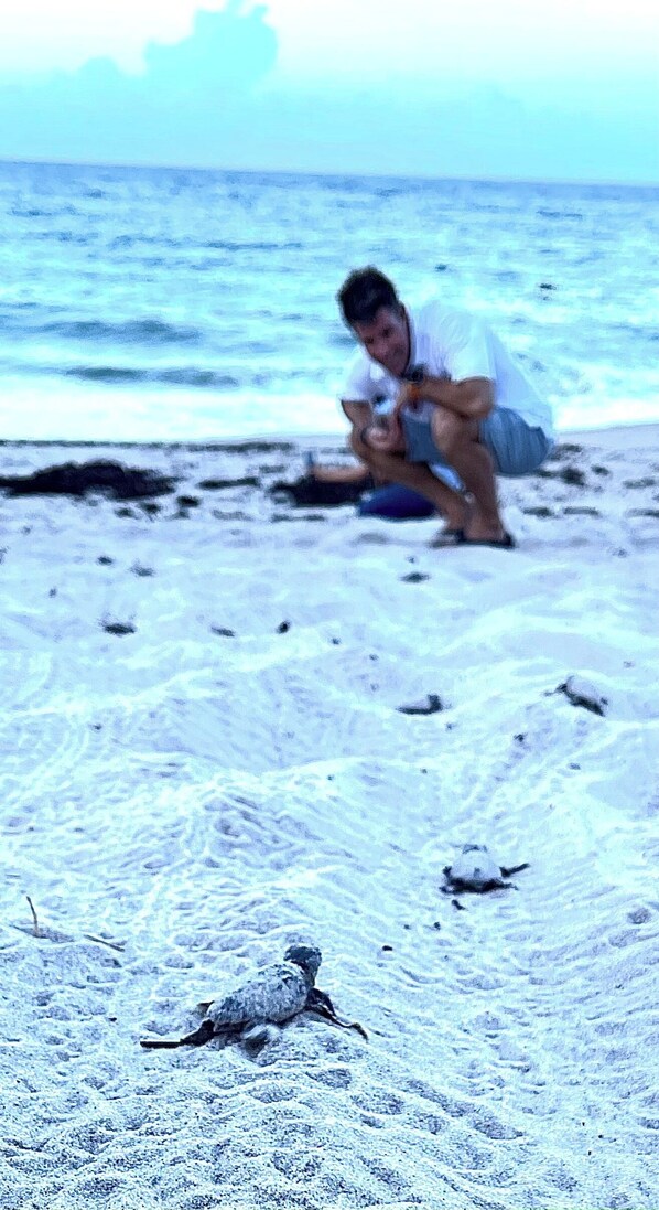 Beach nearby, sun-loungers, beach towels
