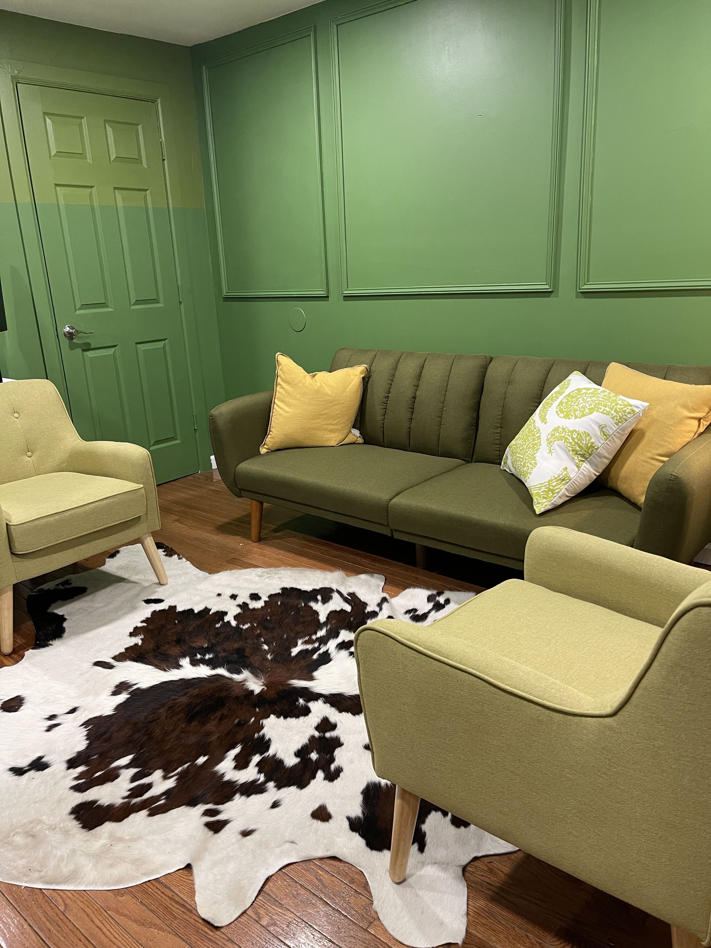 Stylish 2bedroom Apartment Minutes from Art Museum