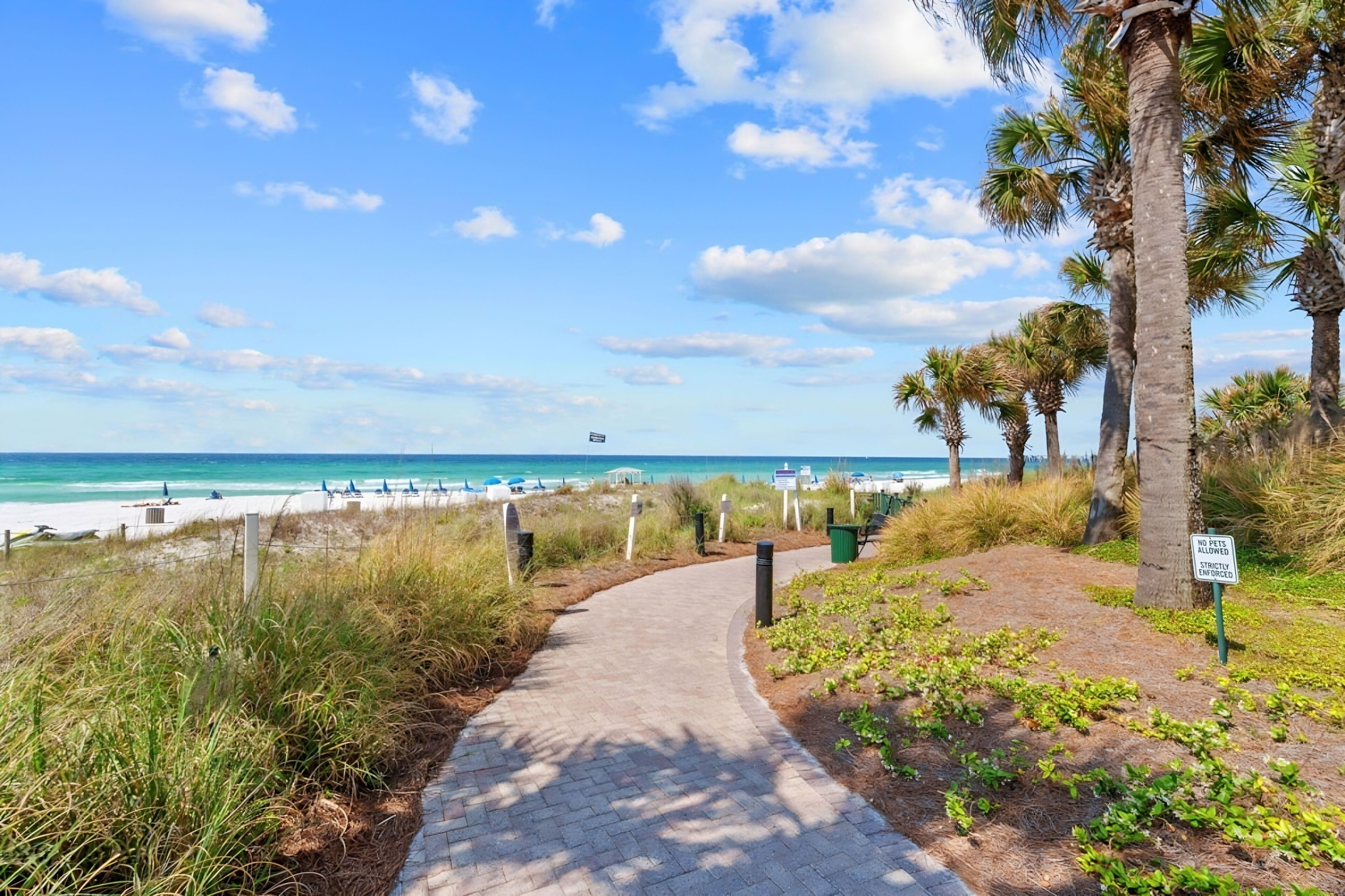 A paved pathway leading to a beach with palm trees and a clear blue sky.