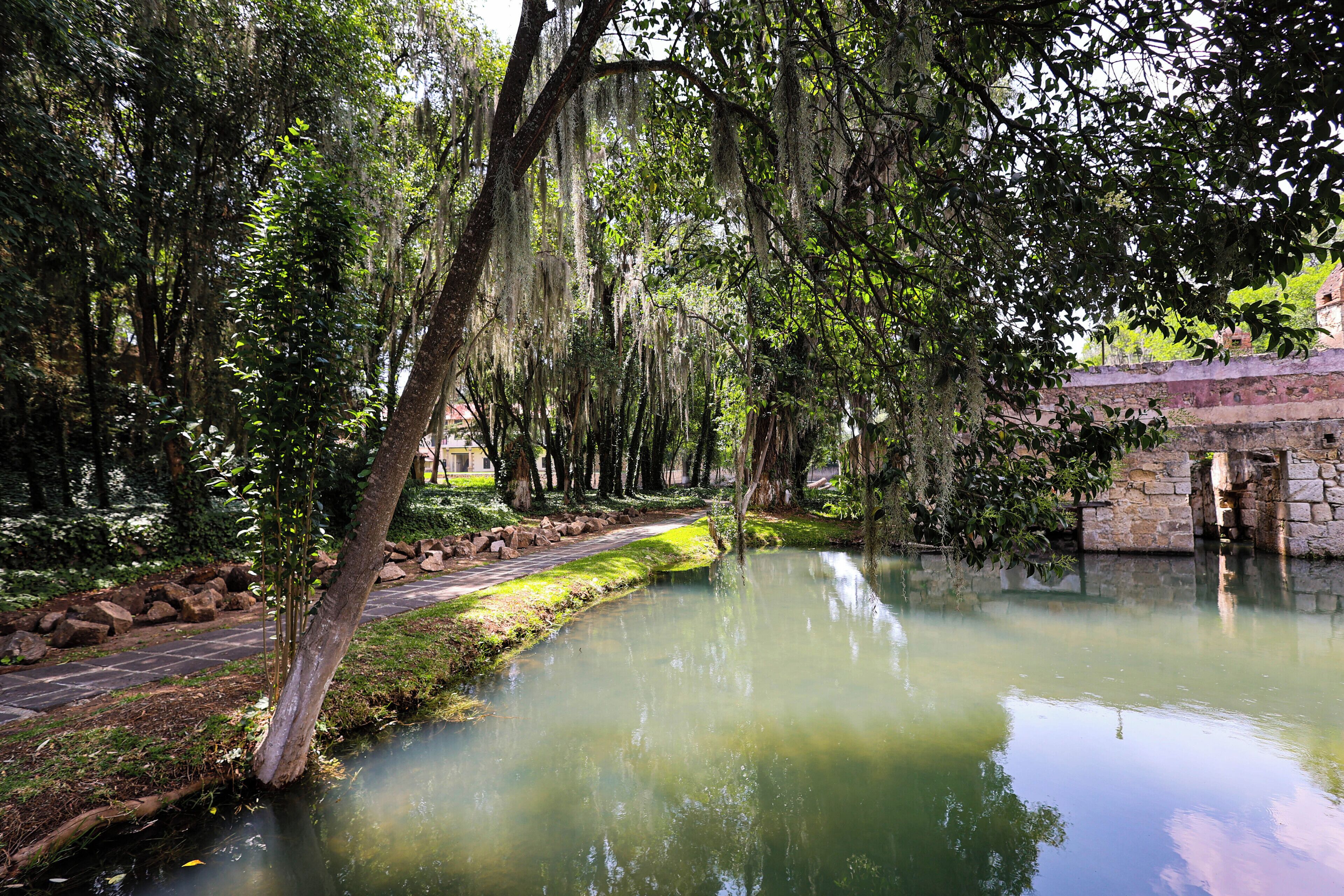 Un parque tranquilo con un estanque, árboles y un puente de piedra.