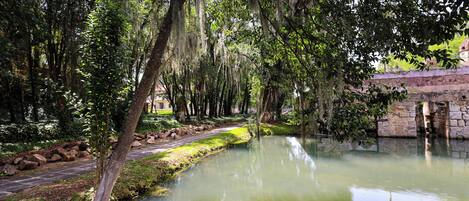 Un parque tranquilo con un estanque, árboles y un puente de piedra.