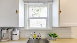 A kitchen with a stainless steel sink, a coffee maker, a coffee jar, a dish soap bottle, and a potted plant. - Fried Egg Flat (Moscow)