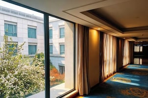 A hotel corridor with large windows, a carpeted floor, and a view of a building and trees.