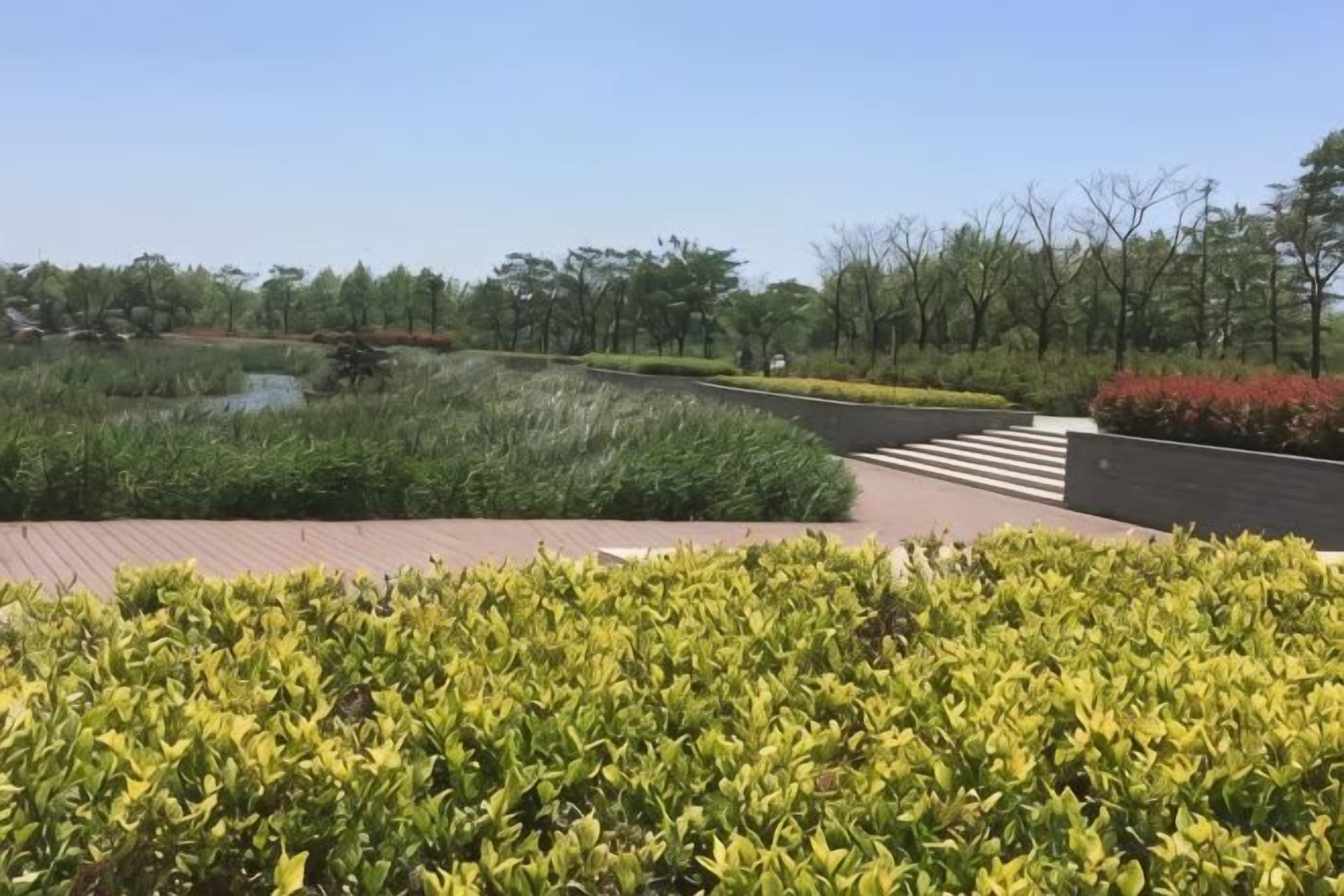 Een aangelegde tuin met een verhard pad, een vijver en een zebrapad.