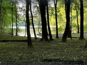 Property grounds - Cozy lakehouse retreat w/kayaks, high speed Wi-Fi, and pet friendly! (Fountain Run)