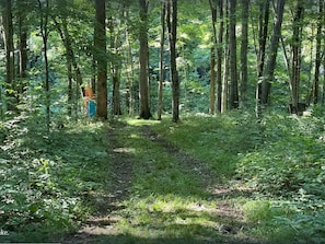 Property grounds - Cozy lakehouse retreat w/kayaks, high speed Wi-Fi, and pet friendly! (Fountain Run)