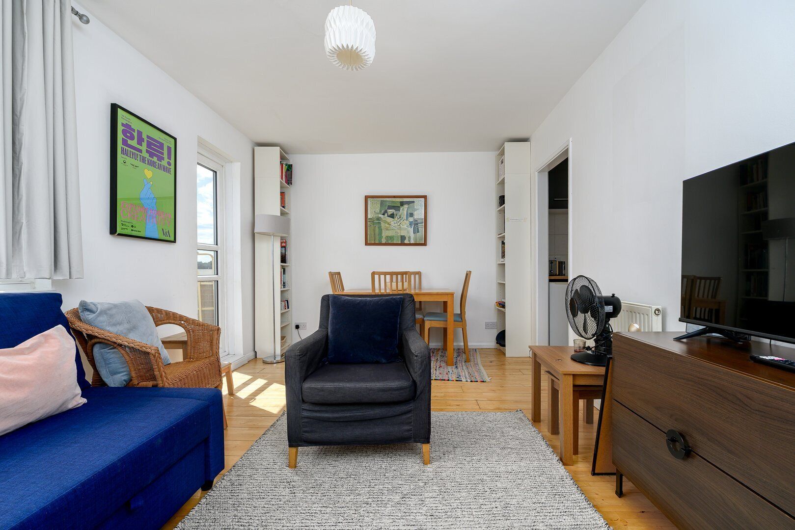 Flat-screen TV, books