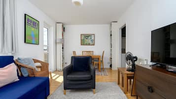 Flat-screen TV, books