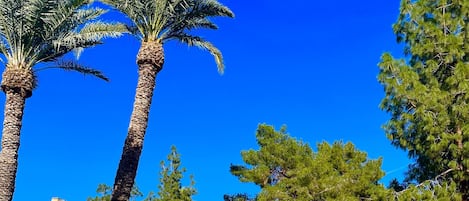حمّام سباحة خارجي، حمّام سباحة مُدفَّأ