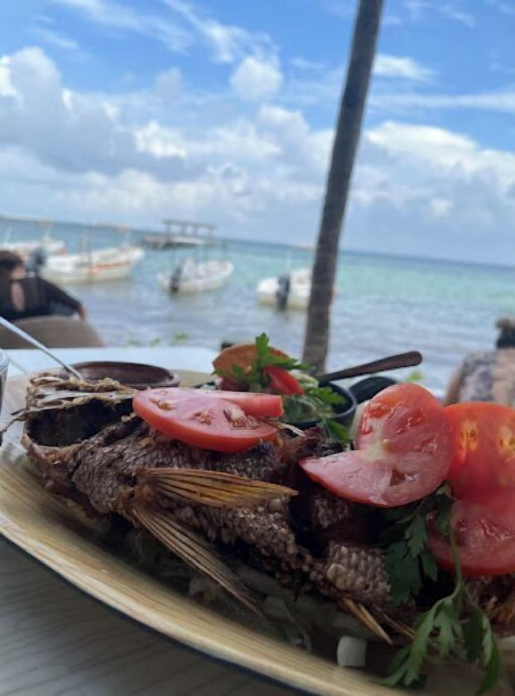 A seafood dish with tomatoes and herbs on a plate, with a view of boats and the sea in the background.