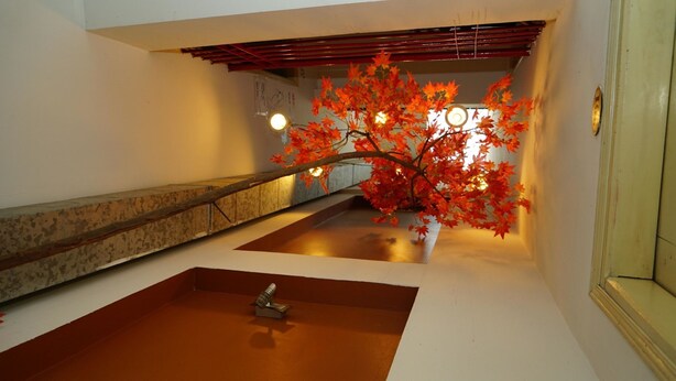 A modern bathroom with a wooden bench, a sink, and a decorative tree with red leaves. - Hanoi Rendezvous Hostel (Hanoi)