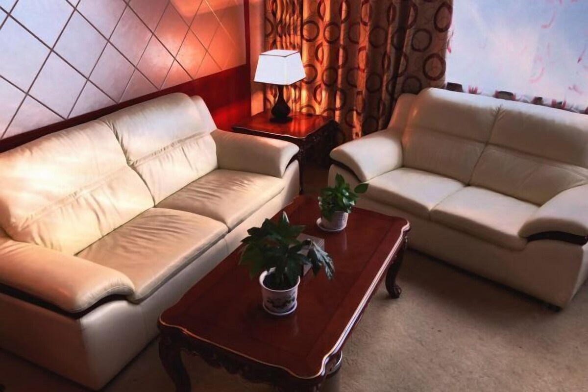 A living room with two beige leather sofas, a wooden coffee table with potted plants, a lamp, and patterned curtains.