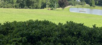 4BR Lakeside Villa. Minutes from Ole Miss campus and The Square