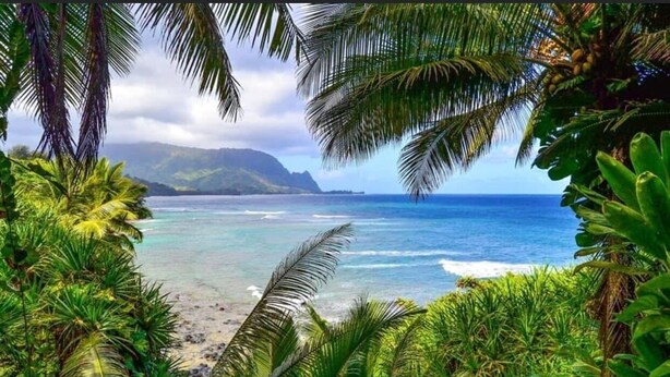 Une plage tropicale bordée de palmiers, avec vue sur l’océan.