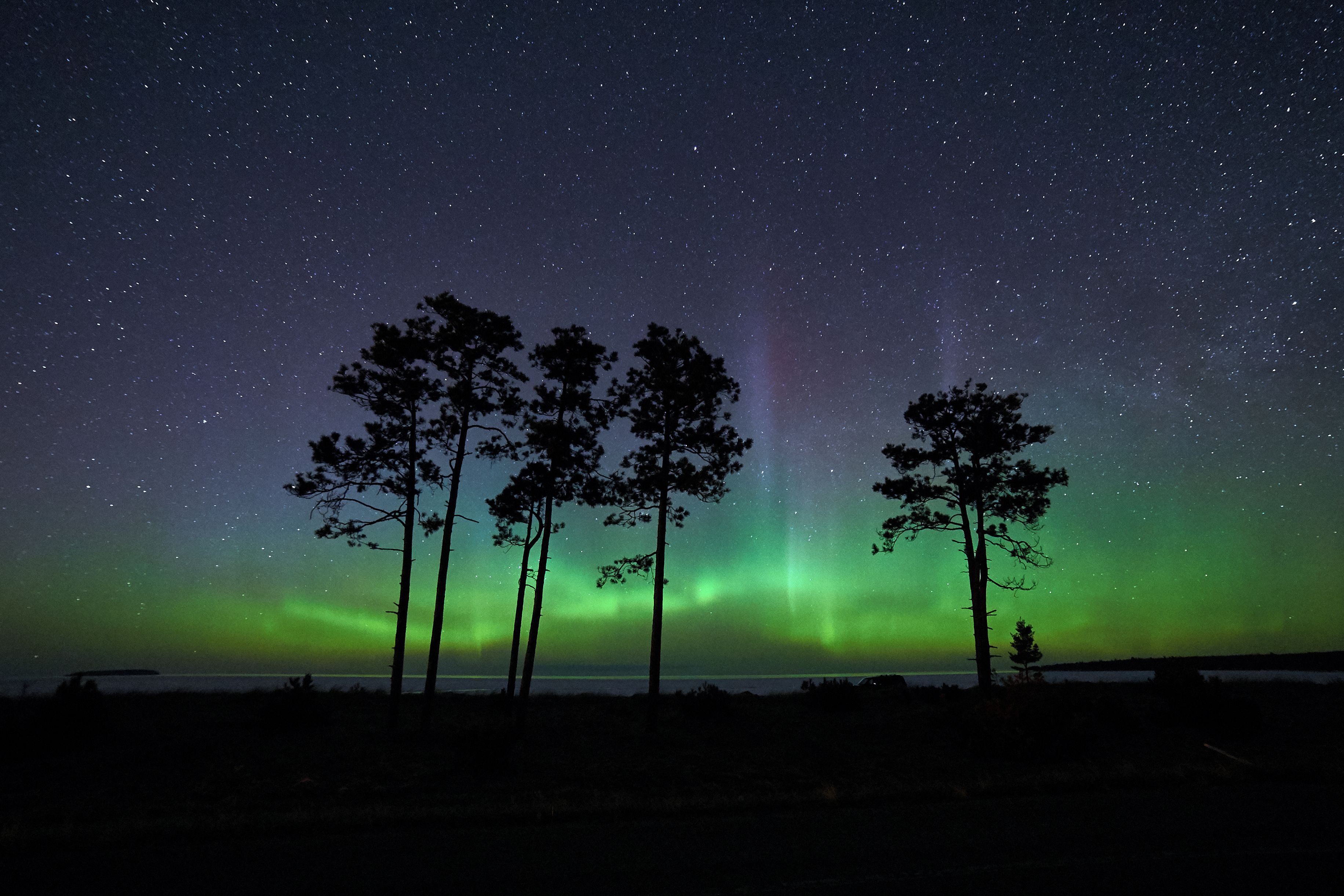 A night sky with stars and the aurora borealis.