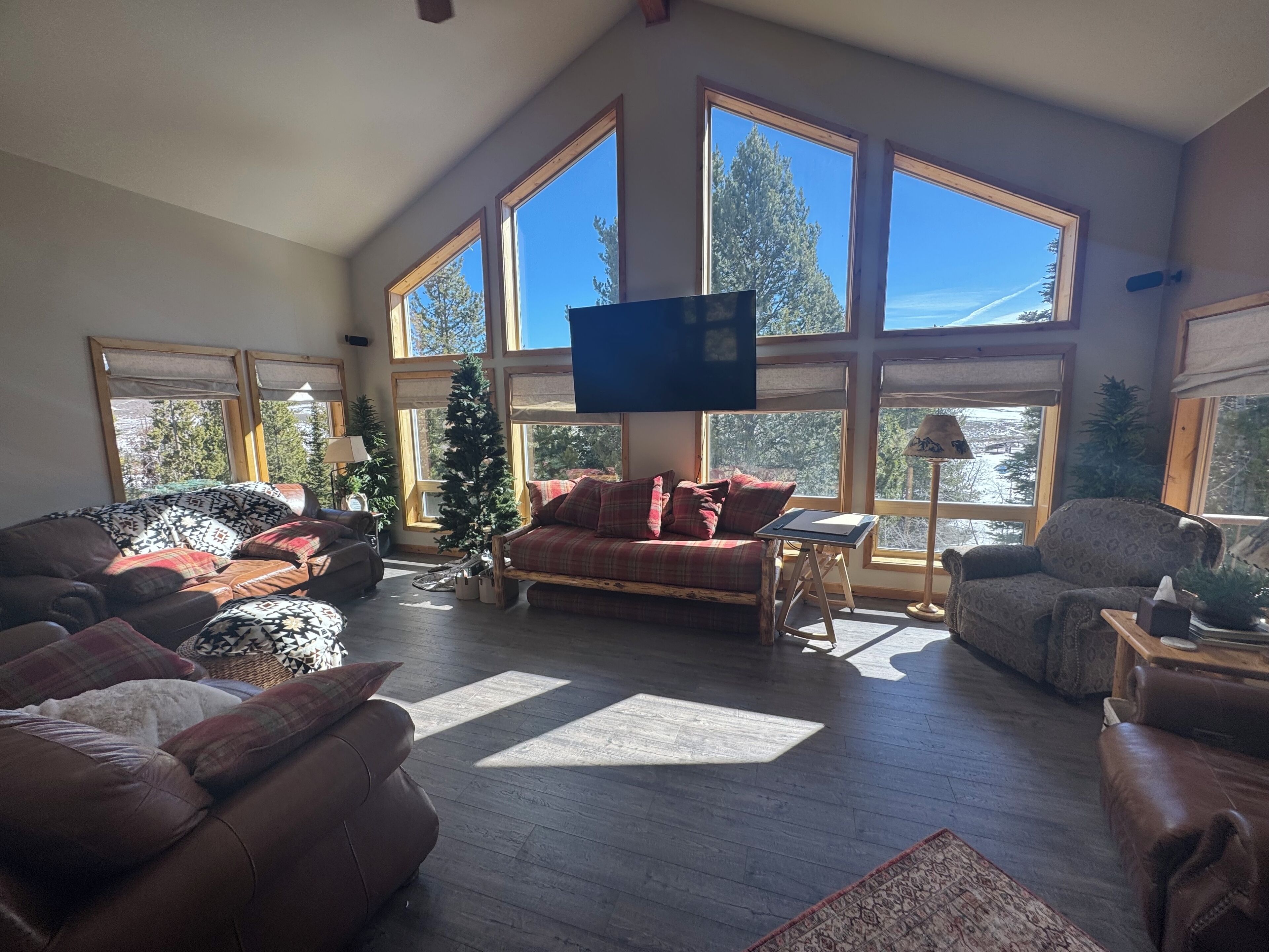 Smart TV, fireplace, video games, DVD player