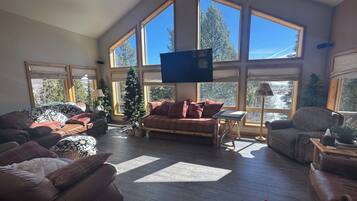 Smart TV, fireplace, video games, DVD player