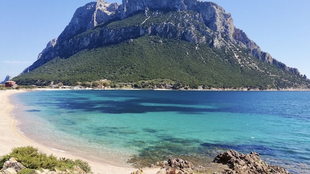 Beach - All have their own entrance and are located in four-family villas.Elegantly furnished, they have a small garden with furnished covered veranda or furnished covered terrace.Composed of living room with kitchenette and sofa, bedroom with double bed, room w (Monte Petrosu)