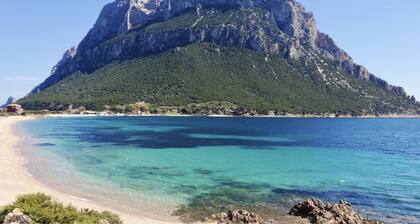 La Tartaruga three-room apartment sleeps 4 in facility with swimming pool